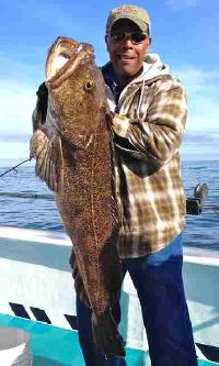 Whale Watching Depoe Bay MIKE AND A GREAT LING